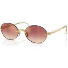 Ray-Ban Rayban 3929 001/8H 54 Kadın Güneş Gözlüğü