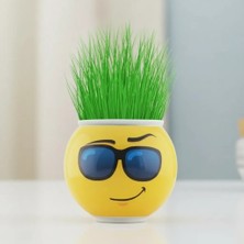 Hsc Bilişim Çim Adam Saksı Emoji Figürlü Dekoratif Çim Yetiştirme Seti