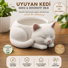 Uyuyan Kedi Saksı & Dekoratif Obje