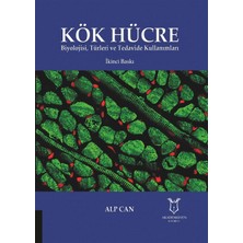 Kök Hücre - Alp Can