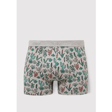 Mavi Kaktüs Baskılı Gri Boxer 091122-23854