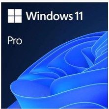 Belirtilmemiş Ms Wındows 11 Pro 32/64 Bıt Tr Kutu USB HAV-00159