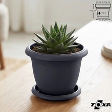 ToXA 0.6 Litre Tabaklı Mat Antrasit Gri Küçük Boy Yuvarlak Plastik Saksı Villa