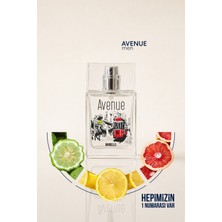 Bargello Avenue 50 ml Erkek Oryantal Parfüm Edp Aromatik Koku Ferah ve Taze