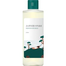 Round Lab Pine Calming Cica Lotion Bariyer Koruyucu ve Stres Karşıtı Çam Özlü Cica Yüz Losyonu 250 ml