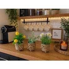 Ecrella 3’lü Mini Jüt Ipli Saksı Yapay Papatya Limon Okaliptus Seti Dekoratif Şık Masa & Balkon Süsü