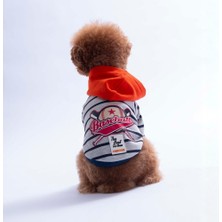 Pawstar Turuncu Seattle Pitch Köpek Hoodie Köpek Sweat Köpek Kıyafeti Kedi Kıyafeti