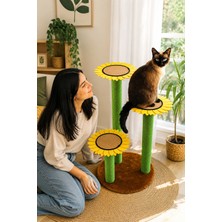 Pettosh Ayçiçeği Bahçesi Kedi Tırmalama Tahtası