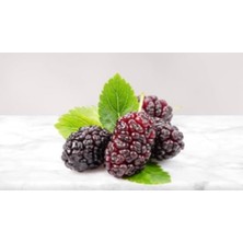 Brf Store Su Store Eyüp Sabri Tuncer Doğal Karadut Özlü Çocuk Diş Macunu 60ML
