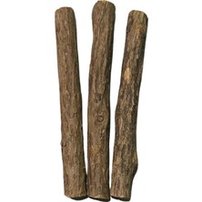 Brf Store Su Store Pawdaz Matatabi - Stick Diş Temizlemeye ve Stres Gidermeye Yardımcı Doğal Oyuncak