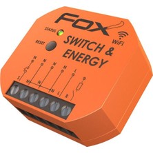 F&F Filipowski Anahtar & Enerji 230 V Wi-Fi Rölesi
