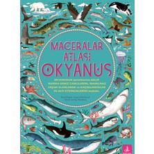 Aesco Maceralar Atlası - Okyanus (Ciltli)