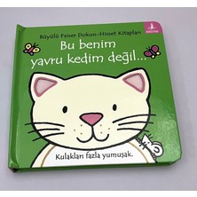 Aesco Bu Benim Yavru Kedim Değil (Ciltli)