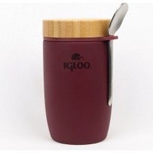 Igloo Bamboo Yemek Termosu 500ML-BORDO
