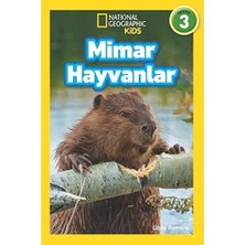 Brf Store Su Store Mimar Hayvanlar - National Geographic Kids: Seviye 3 (Kapak Değişebilir)