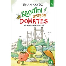 Aesco Kendini Arayan Domates 4 - Mis Kokulu Köy Domatesi