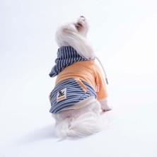 Pawstar Somon Sera Stripe Köpek Hoodie Köpek Sweat Köpek Kıyafeti Kedi Kıyafeti