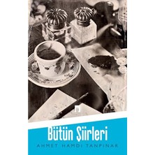 Aesco Bütün Şiirleri