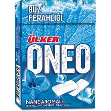 Kentex Nane Flıptop Sakız 21G