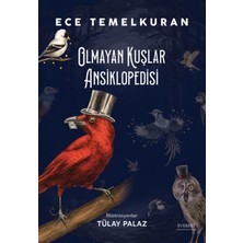 Aesco Fildişi Karası