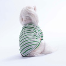 Pawstar Yeşil Marseille Softline Çizgili Kedi Köpek Sweati Köpek Kıyafeti Kedi Kıyafeti