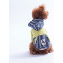 Pawstar Yeşil Sera Stripe Köpek Hoodie Köpek Sweat Köpek Kıyafeti Kedi Kıyafeti