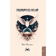 Aesco Yaşanmışlıklar