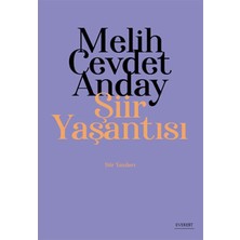 Aesco Şiir Yaşantısı - Şiir Yazıları