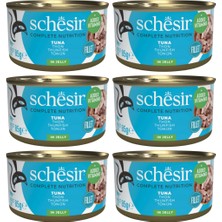 Schesir Ton Balıklı Jöle Içinde Yetişkin Kedi Konservesi 85 gr 6 Adet