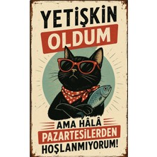 Lucena Yetişkin Oldum Ama Pazartesilerden Hoşlanmıyorum Retro Metal Duvar Tabelası Tablo