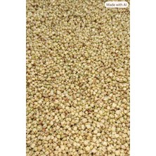 Canlar Işkın Tohumu Kurusu 100 gr (Çay Için)