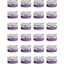 Die Grup Gimcat Shinycat Jelly (Jöle Içinde) Somon Balıklı Ton Balıklı Kedi Konservesi 70GR x 24 Adet