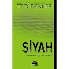 Martı Siyah Ted Dekker 2.el Temiz Durumdadır