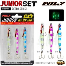 Wily Junior Jig Zebra Serisi 3lü Set Zb