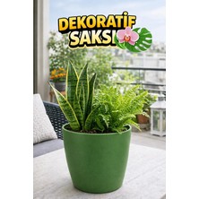 Plant Home Power Mix Dekoratif Orkide Dış Saksısı Yeşil – Hava Alan ve Zarif Tasarımlı Saksı Iç Mekan Kullanımına Uygun