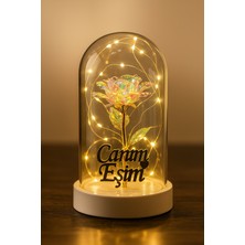 Alshop Canım Eşim Yazılı LED Işıklı Solmayan Güllü Gece Lambası Fanus Dekor Süs