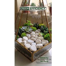 Green Efficiency Beyaz Dolomit Taşı 100 kg 2-4 cm | Saksı Üstü Dekoratif Çakıl Taşı | Teraryum Bahçe Peyzaj ve Akvaryum Taş