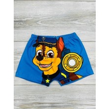 Neat Kids Erkek Çocuk Paw Patrol Deniz Şortu Mayo