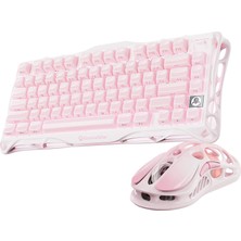 Esranın Dünyası Gravastar Mercury K1+M1 Pro Kablosuz Rgb Işıklı Mekanik Q Gaming Klavye ve Optik Mouse Seti, Sakura Pink