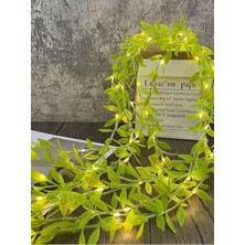 Alshop Ağlayan Söğüt Ağacı Dalı Sarmaşık Bitki 1 Metre 5 Dallı ve 3 Metre Peri LED Piller Dahil