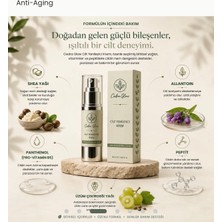Cilt Yenileyici ve Nemlendirici Krem 30 ml | Peptit, Panthenol, Shea Yağı, Allantoin Cg-01, One Size