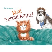 Vavis Kedi Yerimi Kaptı!