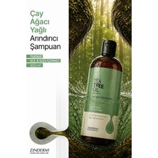 Çay Ağacı Şampuanı - Arındırıcı ve Dengeleyici Tuzsuz Çay Ağacı Yağlı Şampuan 500 ml
