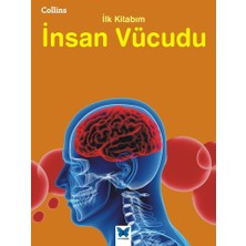Mavi Kelebek Yayınları Collins Ilk Kitabım Insan Vücudu