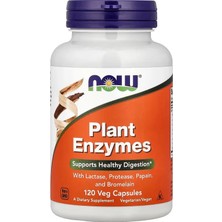 Now Foods Plant Enzymes With Lactase, Protease, Papain, And Bromelain 120 Veg Capsules