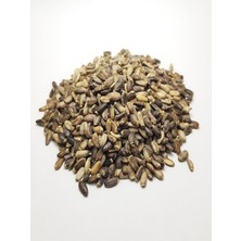Doğal Deve Dikeni Tohumu, 100 Gram