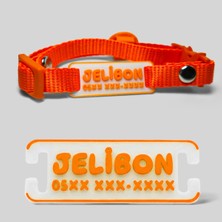 Sallanmayan, Charmlı, Isimlikli, Telefon Numarası Yazılı, Kedi Boyun Tasması (Safety Click) (T