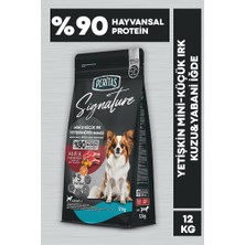 Signature Kuzulu Yetişkin Köpek Küçük Irk - 12 kg