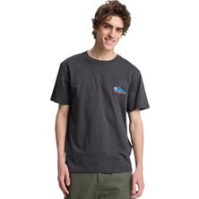 Quiksilver Ev Barrel Parad Erkek Gri Outdoor T-Shirt EQYZT08285-3105