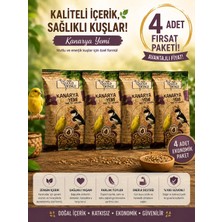 Gold Wings Evcil Hayvan Meyveli Kanarya Yemi 300 gr 4 Adet Fırsat Ürünü